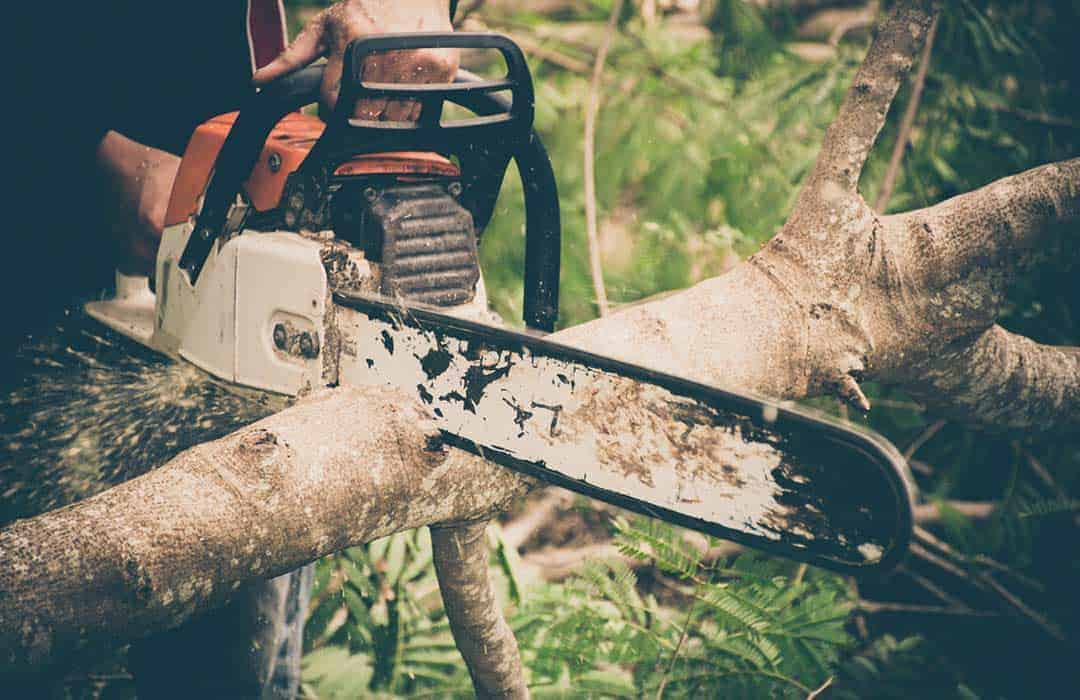 using a chainsaw to cut down long branches of a tree