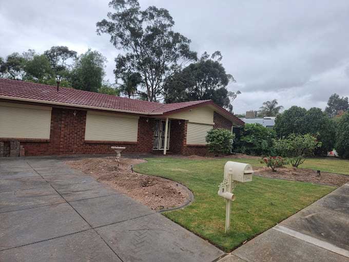 Palm Tree Removal Adelaide Palm Tree Removal Adelaide