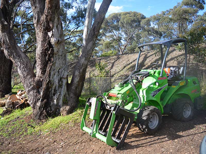 Tree Removal Adelaide